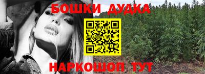 шишки Будённовск