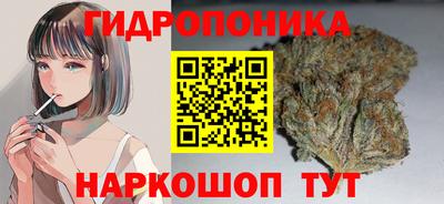 шишки Будённовск