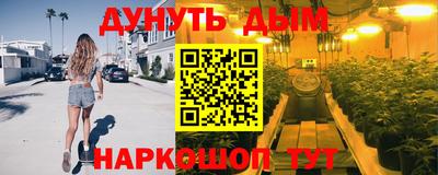 шишки Будённовск