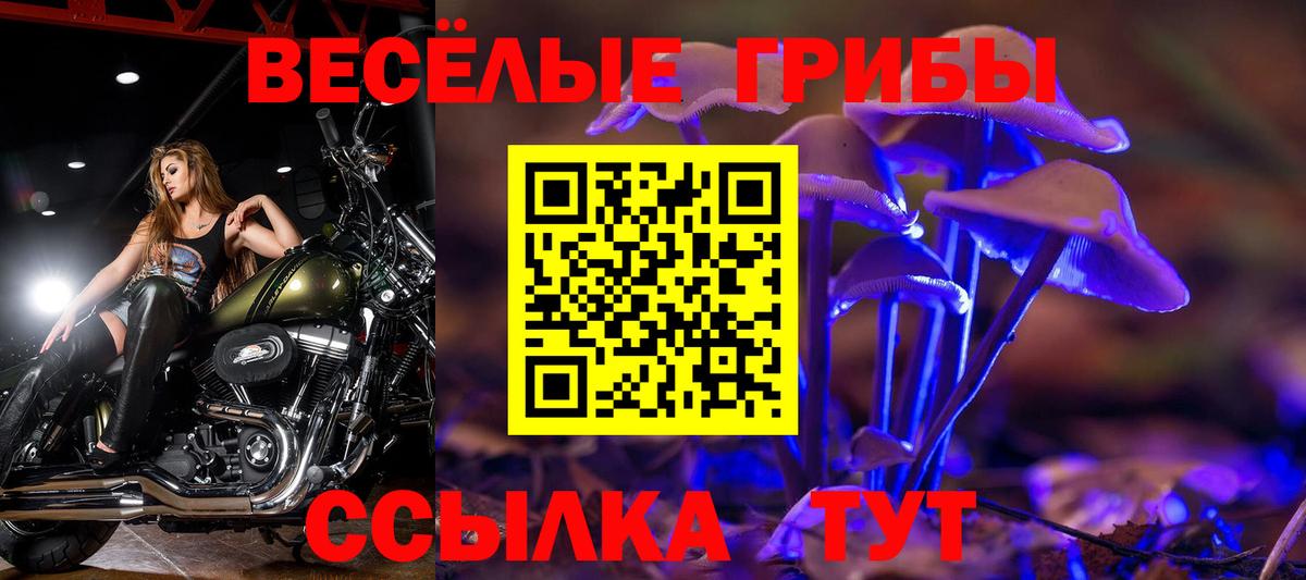 Галлюциногенные грибы мицелий Родники